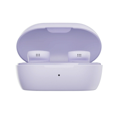 Bose QuietComfort Earbuds Charging Case