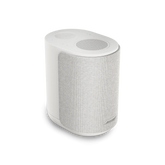Bose Lifestyle Ultra Speaker