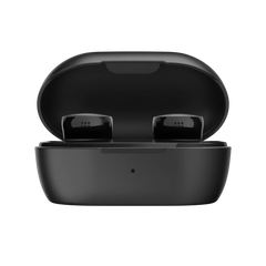 Bose QuietComfort Earbuds Charging Case