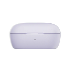 Bose QuietComfort Earbuds Charging Case